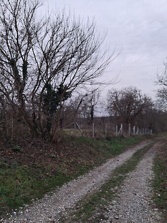 Eladó földterület Martonfa