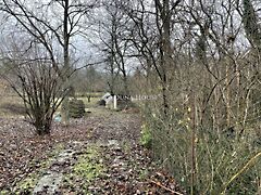 Eladó földterület Telki