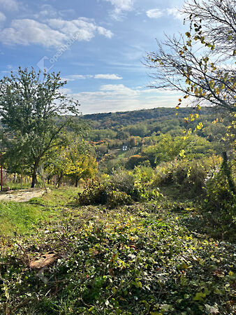 Eladó földterület Pethőhenye