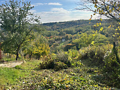 Eladó földterület Pethőhenye