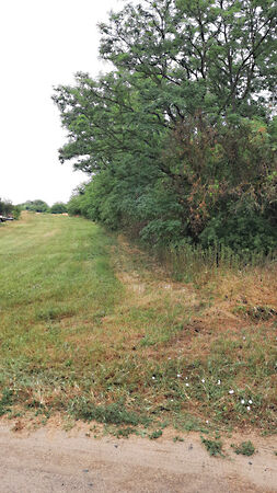 Eladó földterület Egerág