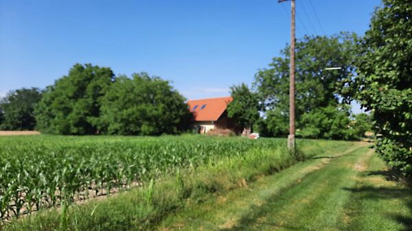 Eladó földterület Mohács