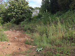 Eladó földterület Pécs