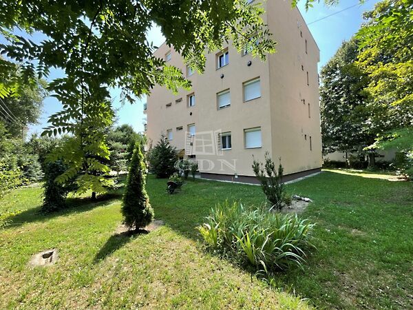 Kiadó lakás Székesfehérvár