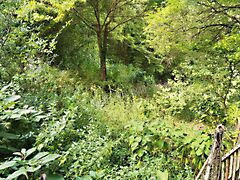 Eladó földterület Budapest, II. kerület