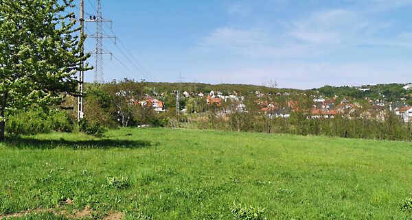 Eladó földterület Budakeszi