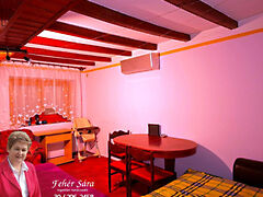 Eladó ház Tiszakécske