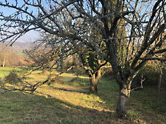 Eladó földterület Hévíz