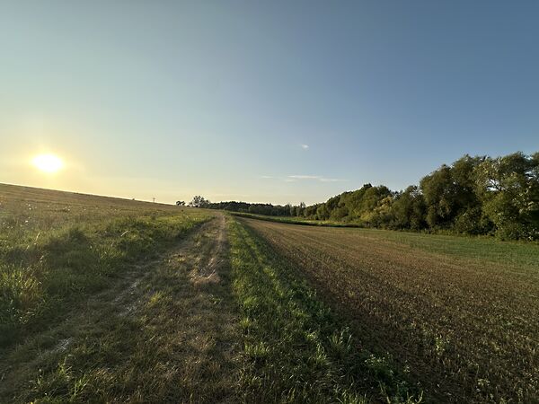 Eladó földterület Bánk