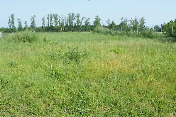 Eladó földterület Balatonszabadi