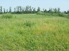 Eladó földterület Balatonszabadi