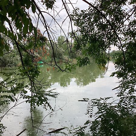 Eladó nyaraló Gyomaendrőd