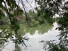 Eladó nyaraló Gyomaendrőd