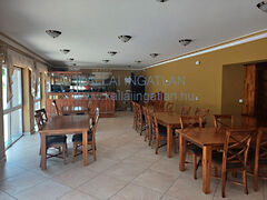 Kiadó üzleti Nyíregyháza