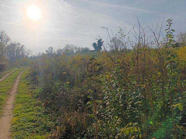 Eladó földterület Zalabér