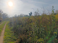 Eladó földterület Zalabér