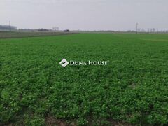 Eladó földterület Tiszaalpár