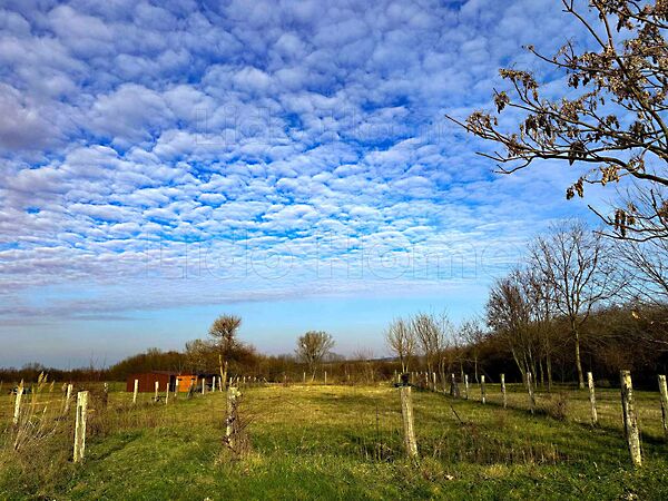 Eladó földterület Balatonőszöd