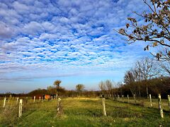 Eladó földterület Balatonőszöd