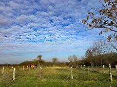 Eladó földterület Balatonőszöd