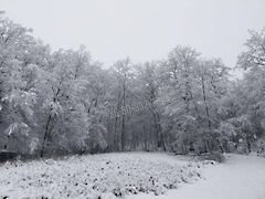 Eladó nyaraló Verőce 3. kép