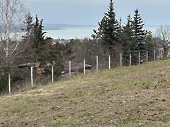 Eladó földterület Balatonalmádi 2. kép