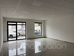 Kiadó üzleti Kapuvár, Központ