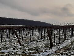 Eladó földterület Balatoncsicsó 2. kép