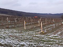 Eladó földterület Balatoncsicsó 5. kép