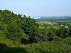 Eladó földterület Balatonszőlős 2. kép