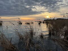 Eladó földterület Balatonakali