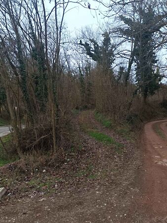 Eladó ház Zselickislak