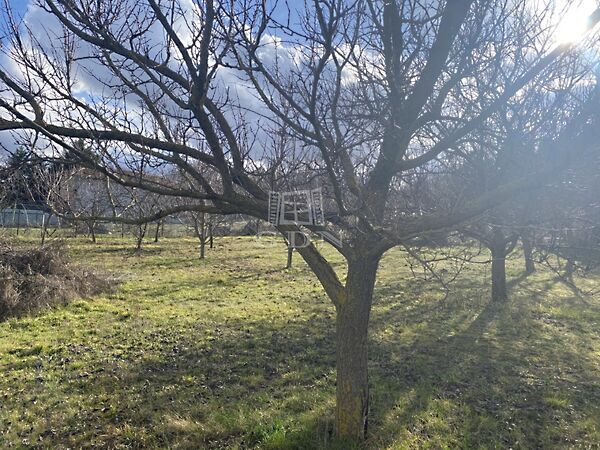 Eladó földterület Sárszentmihály