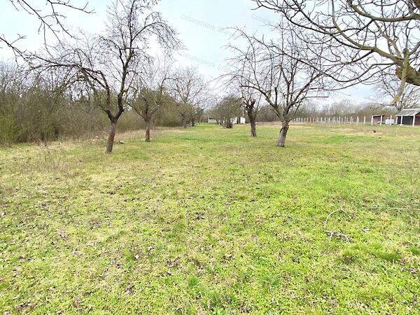 Eladó földterület Gyomaendrőd