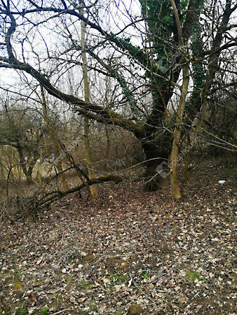 Eladó földterület Nagykapornak