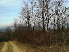 Eladó földterület Nagykapornak