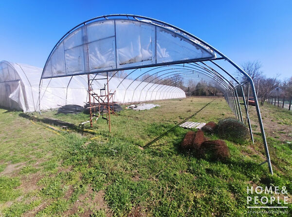 Eladó földterület Szatymaz