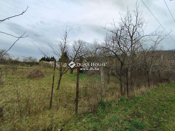Eladó földterület Szárliget