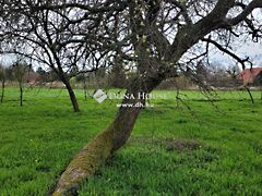 Eladó ház Szigetvár