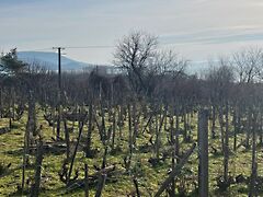 Eladó földterület Balatongyörök