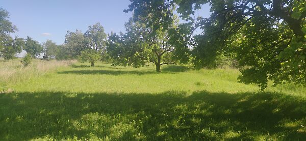 Eladó földterület Sajóvámos