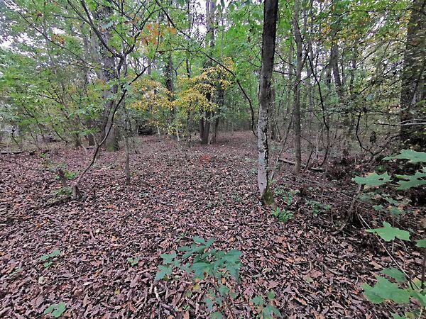 Eladó földterület Kismaros