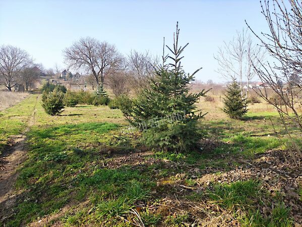 Eladó földterület Mohács