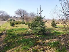 Eladó földterület Mohács