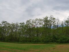 Eladó földterület Őrbottyán