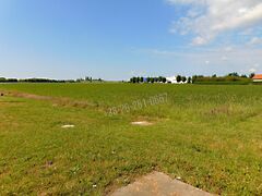 Eladó földterület Mohács