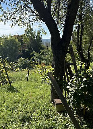 Eladó földterület Budaörs