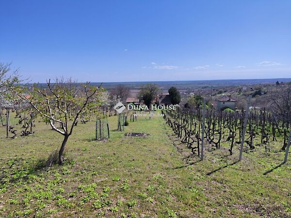 Eladó nyaraló Pázmánd