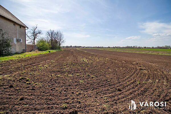 Eladó földterület Aba