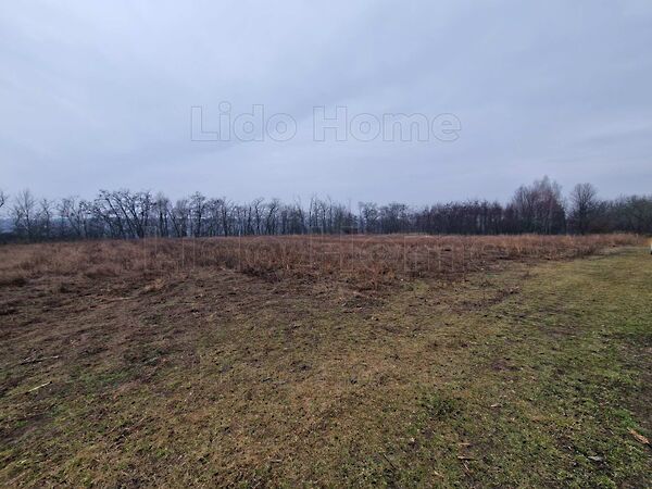 Eladó földterület Lovasberény